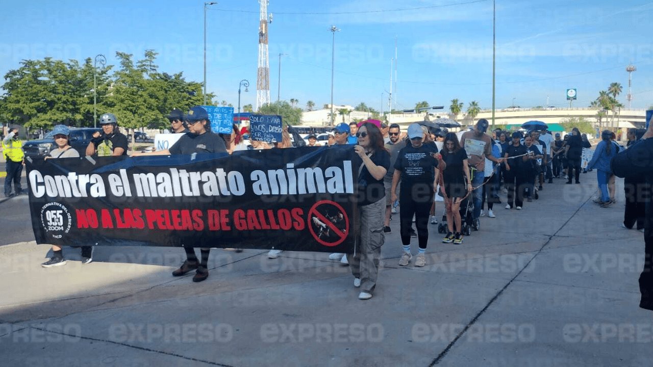 Marchan a favor de la Ley de Protección y Bienestar Animal en Sonora