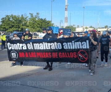 Marchan a favor de la Ley de Protección y Bienestar Animal en Sonora