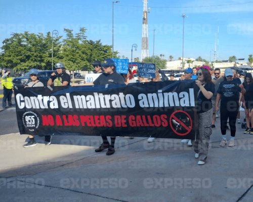 Marchan a favor de la Ley de Protección y Bienestar Animal en Sonora