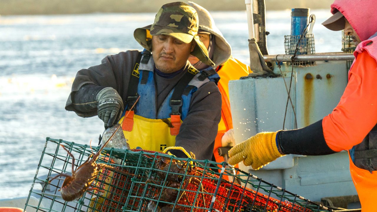 Comienzan vedas temporales y periodos de captura para diversas especies marinas