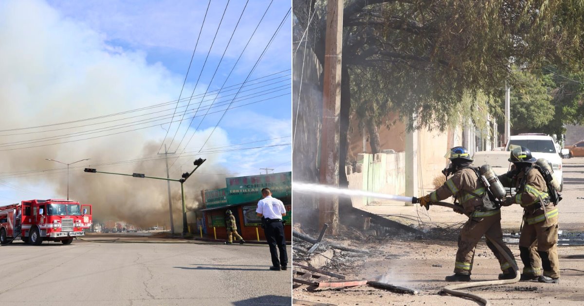 Dos negocios de comida afectados por incendio de palapa en Hermosillo