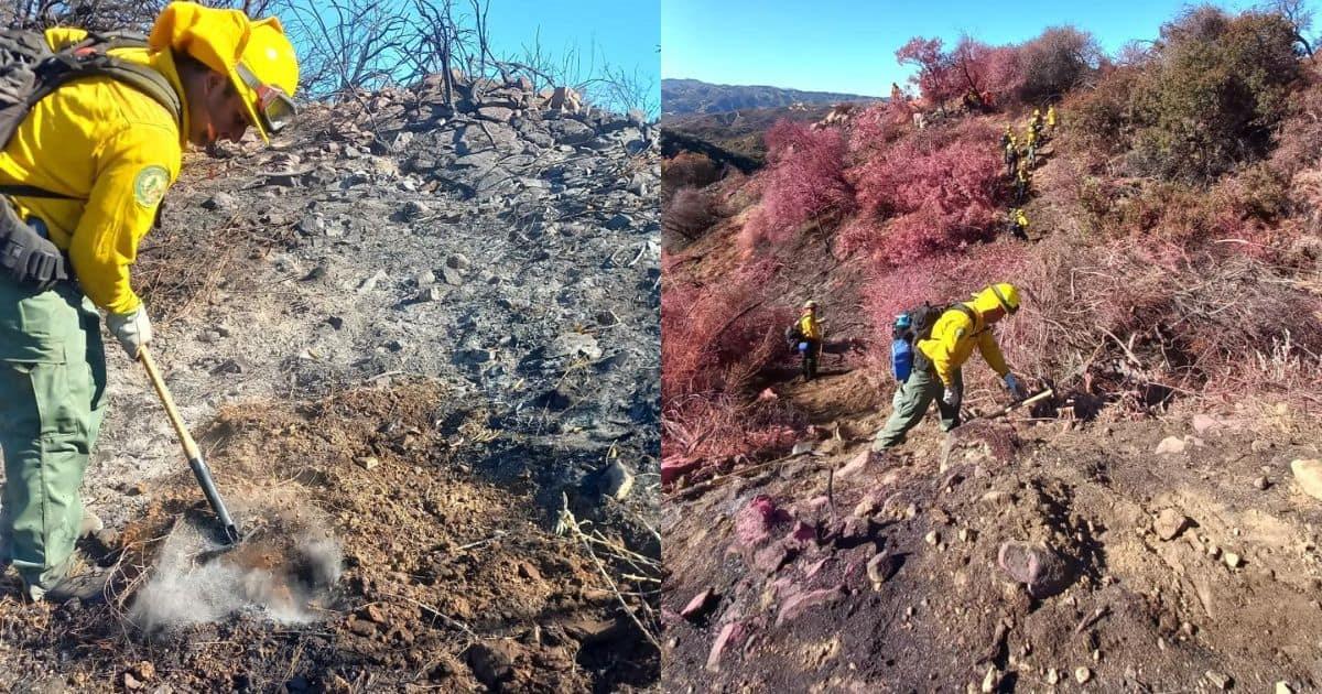 Combatientes mexicanos extinguen 8 focos de calor en Los Ángeles