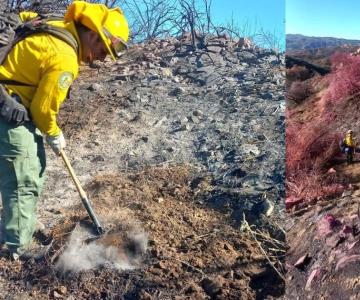 Combatientes mexicanos extinguen 8 focos de calor en Los Ángeles