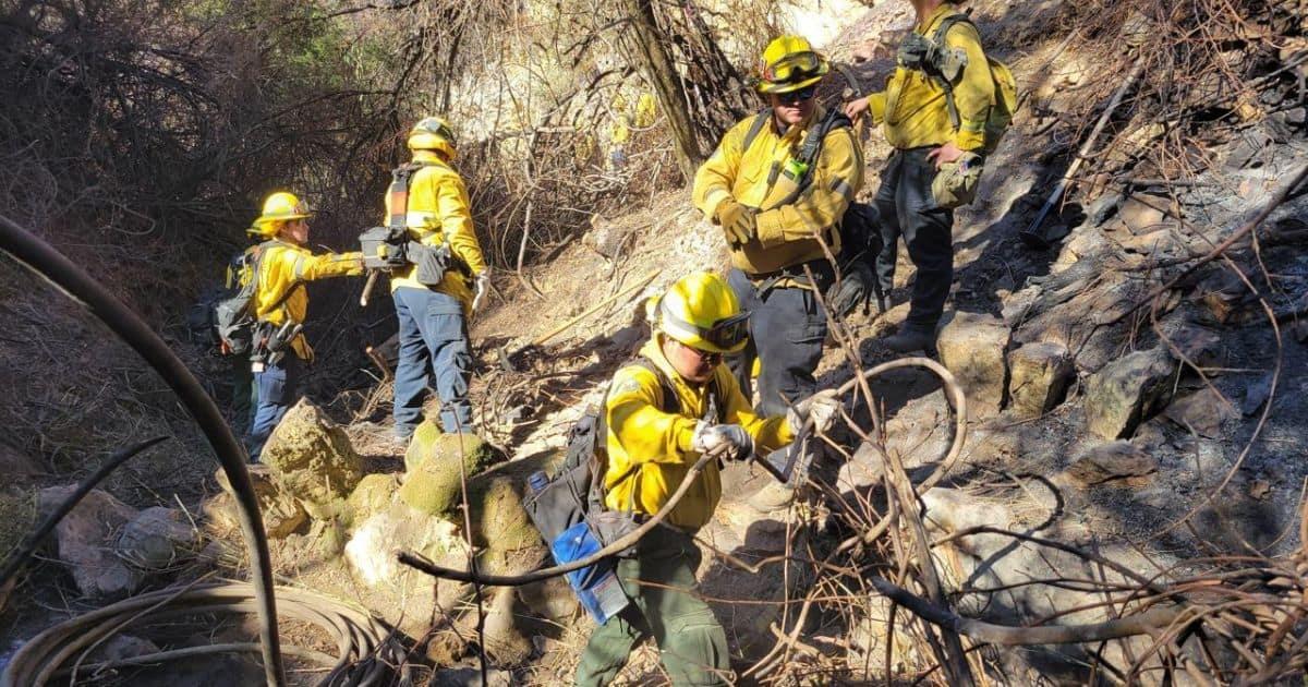 Delegación mexicana inicia búsqueda de víctimas en incendios en California