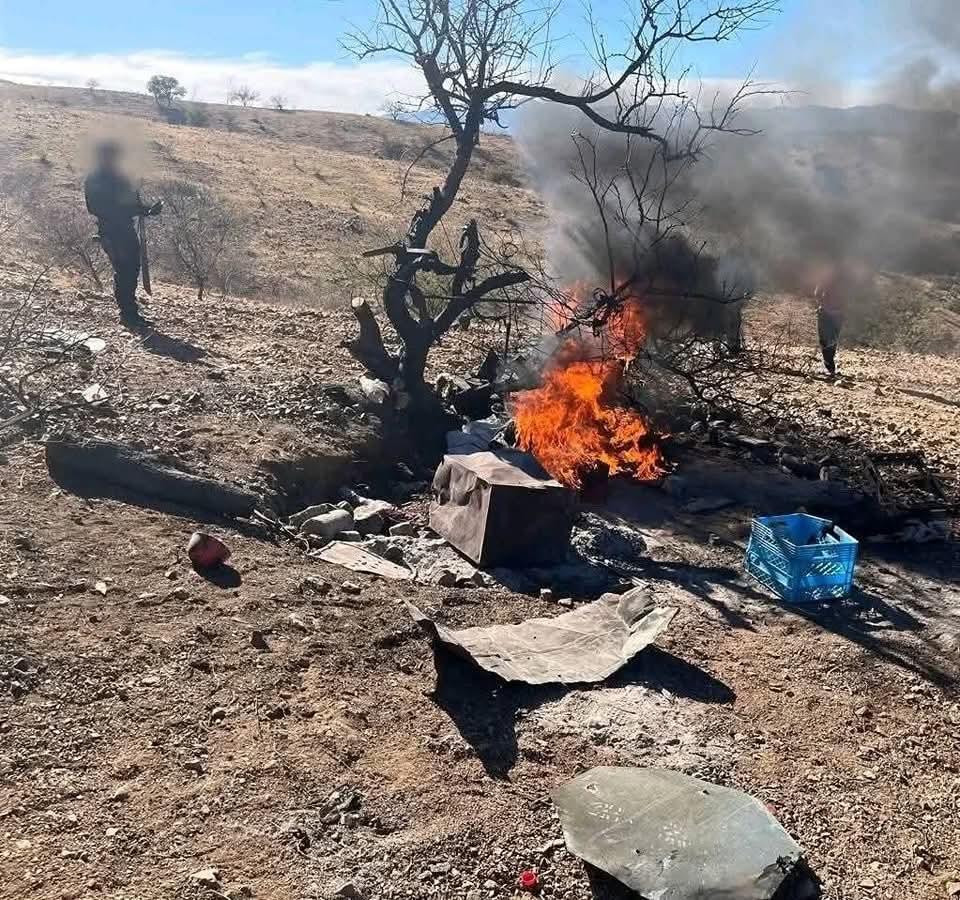 Desmantelan ‘punto de halconeo’ en Nogales