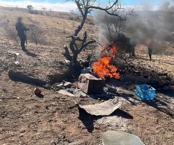 Desmantelan ‘punto de halconeo’ en Nogales