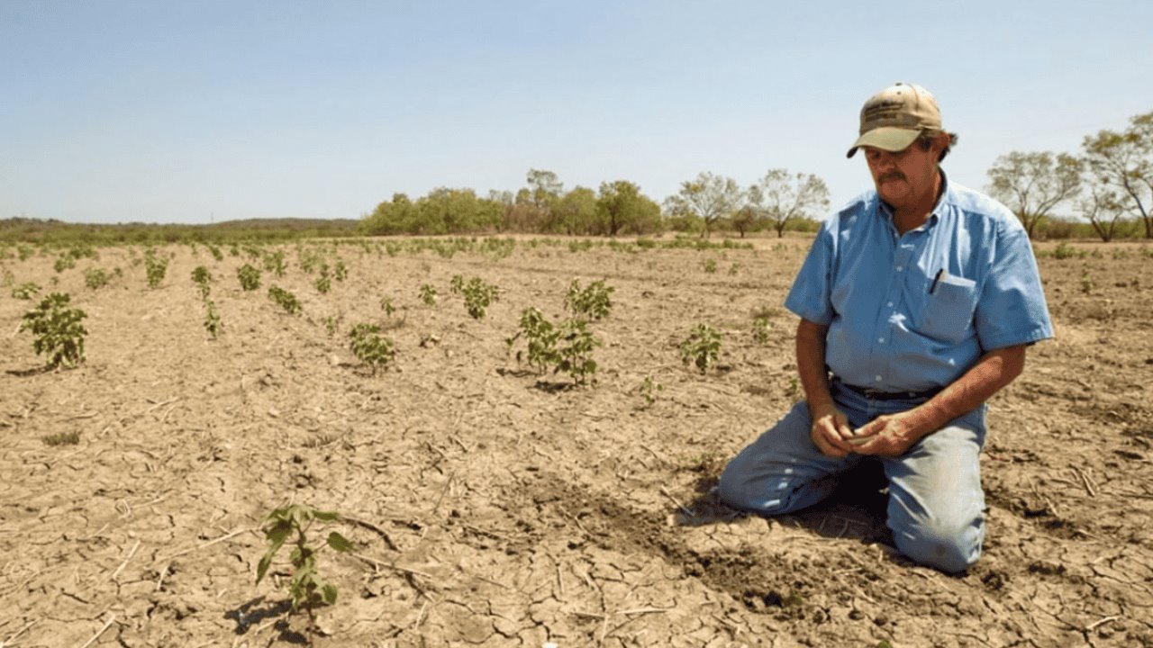 Limitaciones en el uso de agua afectará a cultivos: Monitor Sequía