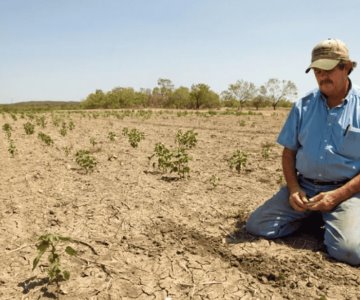 Limitaciones en el uso de agua afectará a cultivos: Monitor Sequía