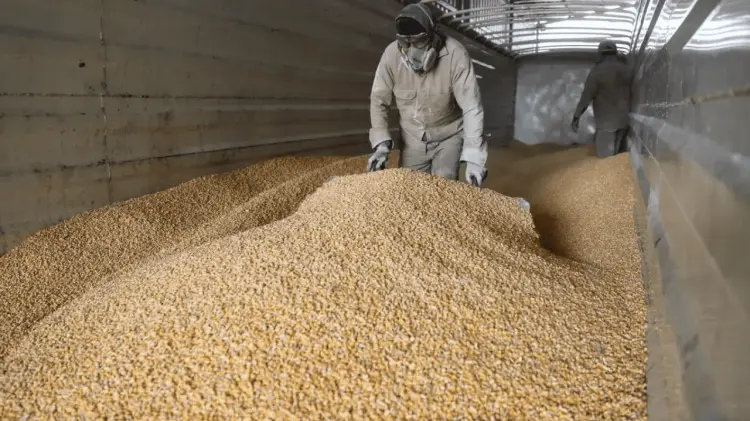 Apoyo inmediato a productores del Bajío. (Foto: Tomada de redes/Cortesía)