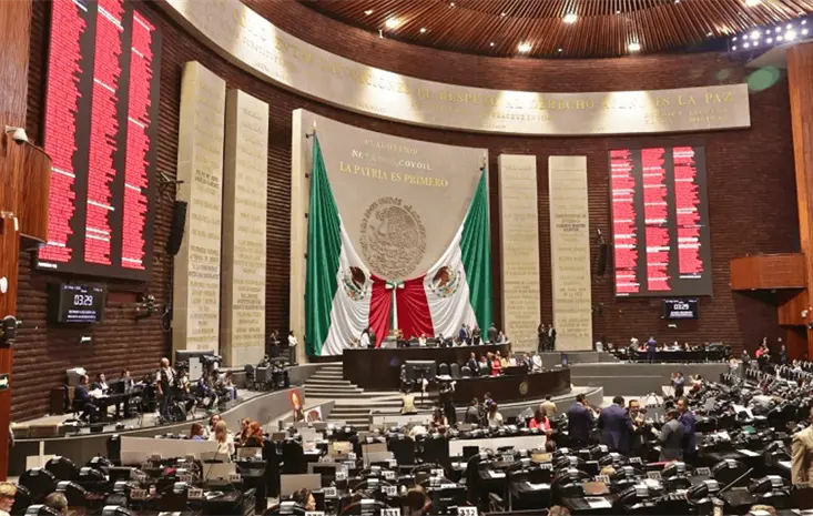 C&aacute;mara de Diputados votar&aacute; por la presidencia del INE en diciembre