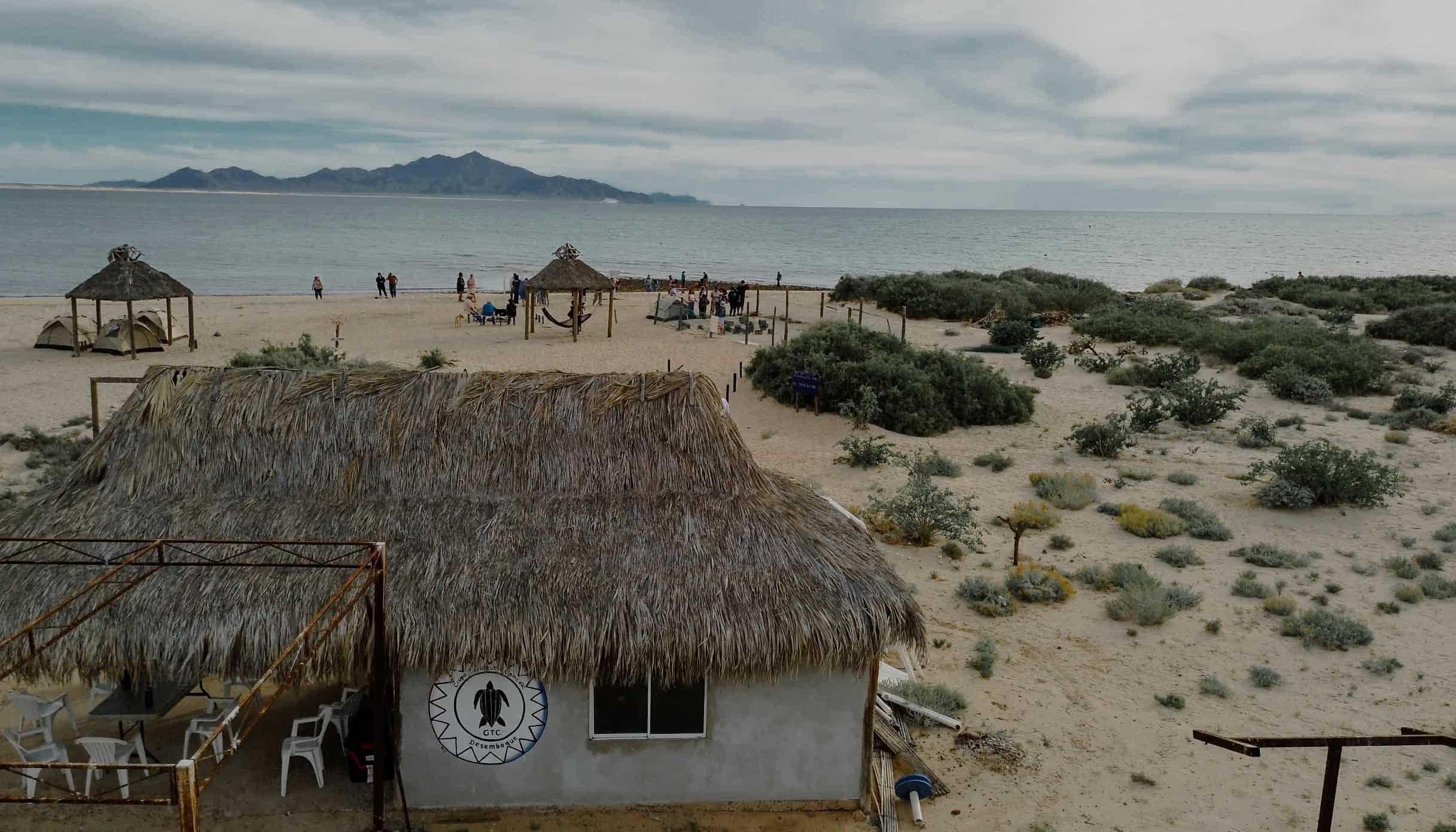 La casa del Grupo Tortuguero en Desemboque, con techo de palma, y el campamento frente al mar.
