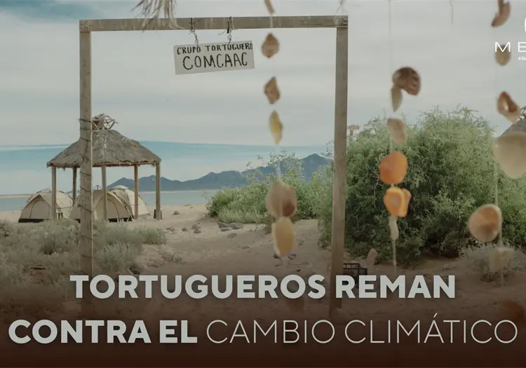 Tortugueros reman contra el cambio clim&aacute;tico