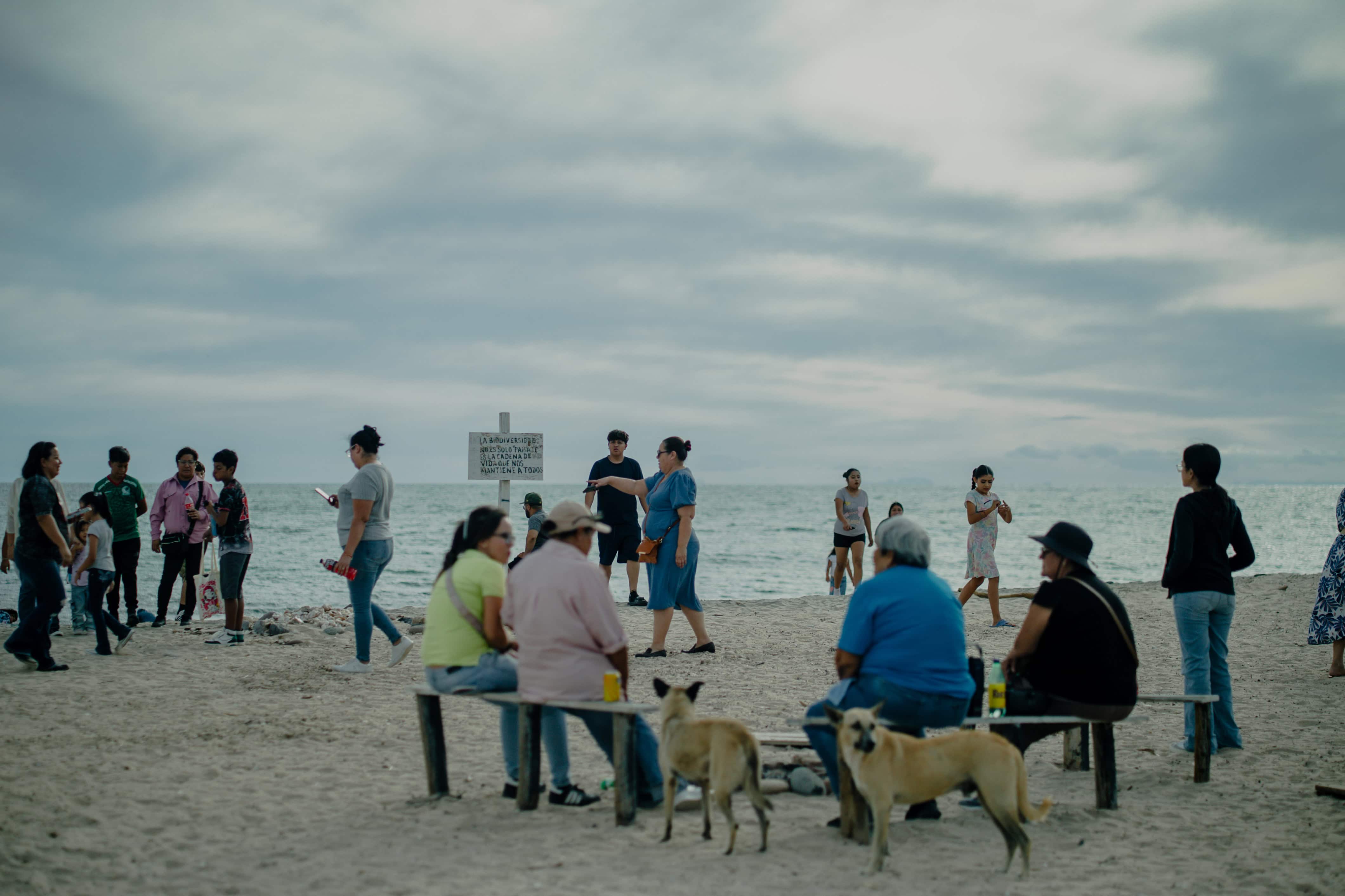 Familias y visitantes en la playa durante el festival, junto a un letrero sobre la biodiversidad