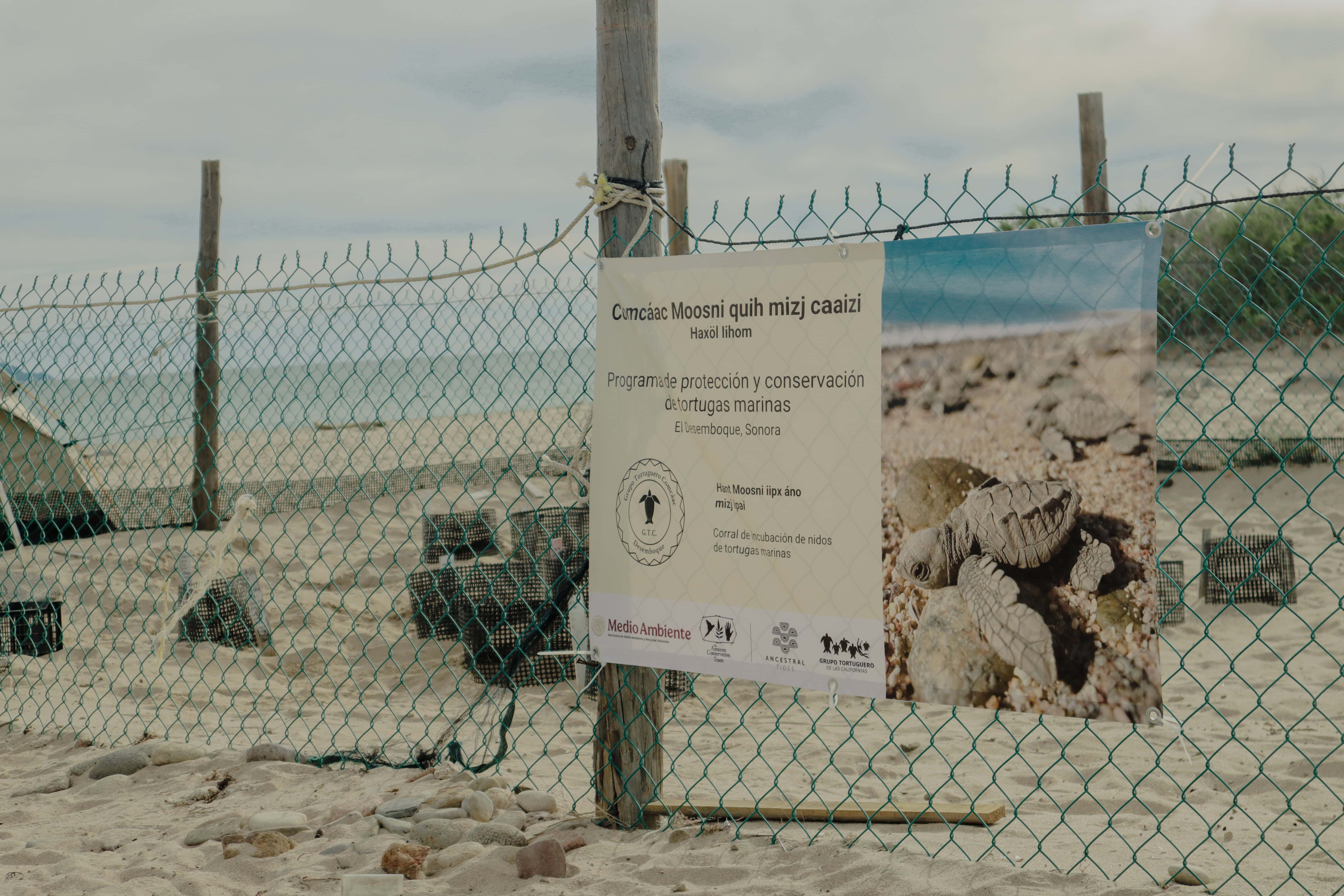 Letrero del programa de protección y conservación de tortugas marinas de El Desemboque, en lengua comcaac y español