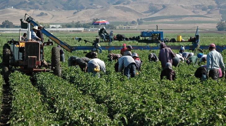 CEPC realiza manual para enfrentar calor extremo