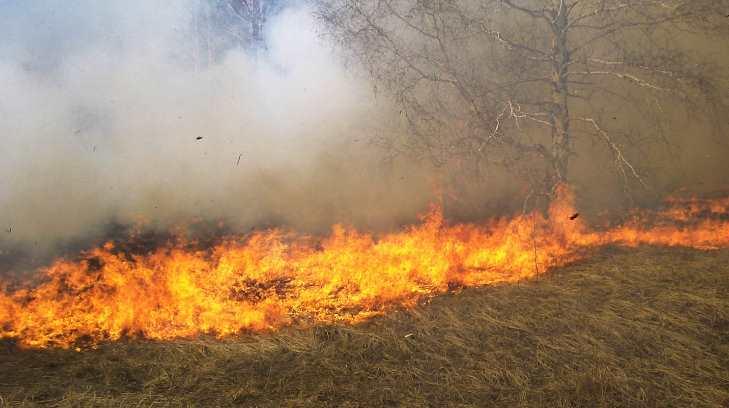 Lluvias han mitigado los incendios forestales en Sonora