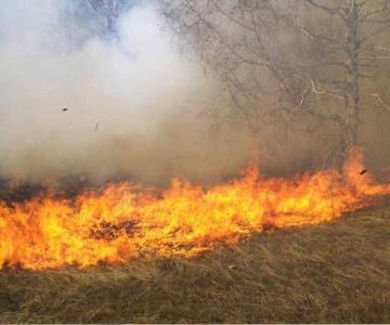 Sonora registra más de 50 incendios forestales durante el año