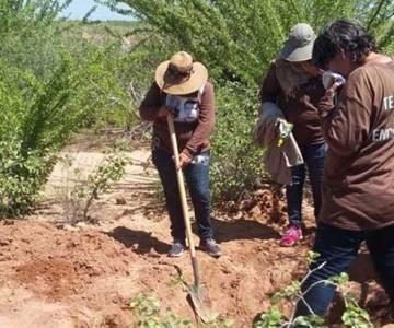 El 30% de hallazgos en Cajeme son mujeres: Guerreras Buscadoras