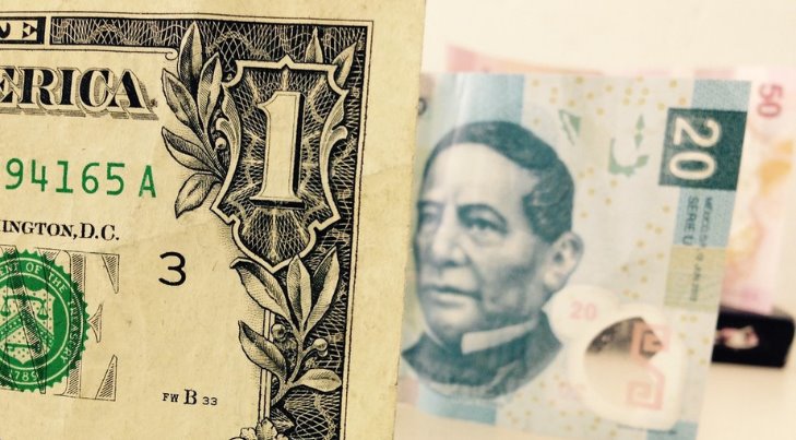 Precio del dólar abre en 19.29 pesos al mayoreo este viernes