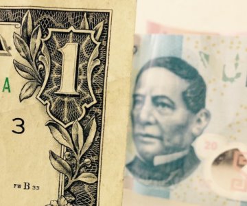 Precio del dólar abre en 19.29 pesos al mayoreo este viernes