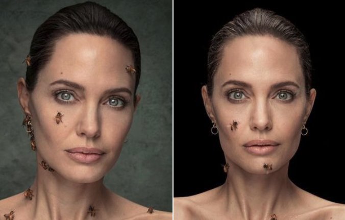 Así celebró Angelina Jolie el Día Mundial de las Abejas