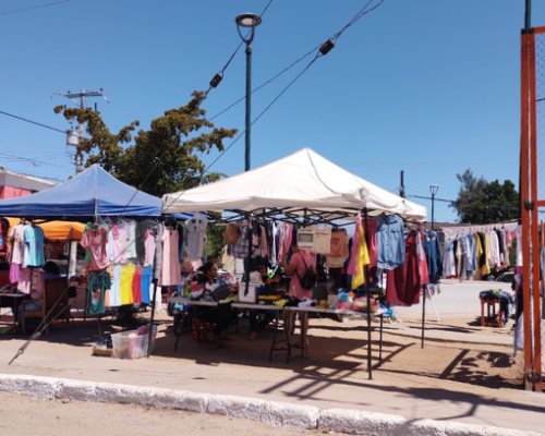 Tianguistas de Sonora piden apoyo a los tres niveles de gobierno