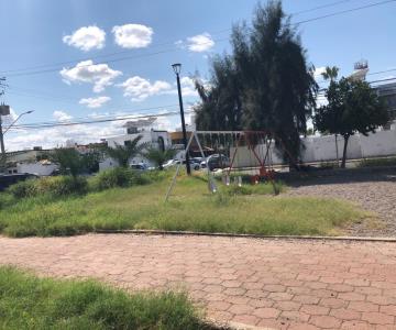 Vecinos de la Modelo temen por su seguridad por parque en constante descuido