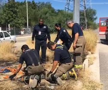 EN VIVO - Bomberos intentan rescatar a perrito atrapado en alcantarilla al norte de Hillo