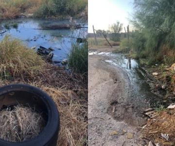 Un río de aguas negras recorre el fraccionamiento La Campiña