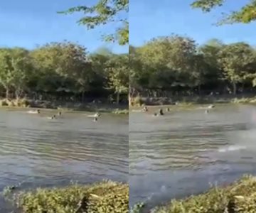 VIDEO | Turistas navojoenses caen al río tras desplome de puente en Sinaloa