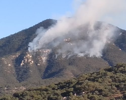 Aconchi y San Miguel de Horcasitas los más afectados por incendios forestales