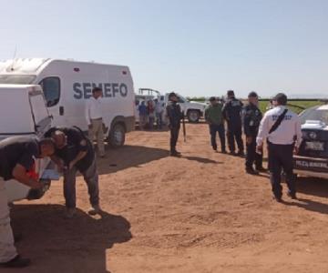 Trabajador agrícola muere atropellado en Valle de Guaymas