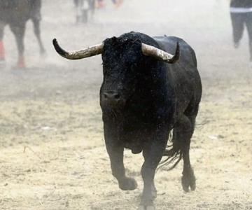 Muere joven tras ser embestido por un toro