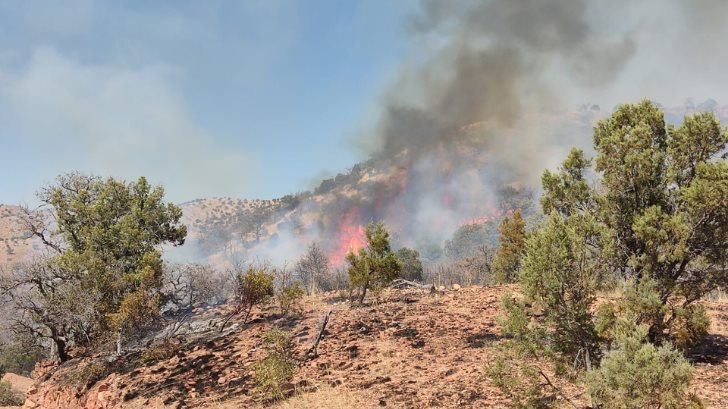 Combaten incendio forestal activo en Nácori Chico