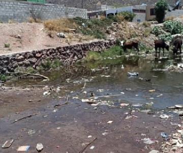 Guaymas: colonos de Las Praderas sufren con varios problemas